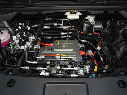 2026�� 520�������а�