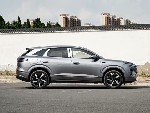 2026�� DM-i 310�콢��