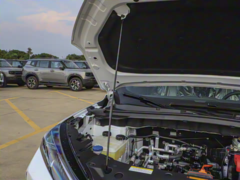 2025�� 518 ��ݰ�