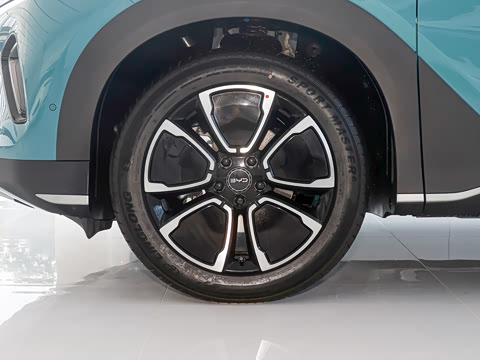 2026�� DM-i 220�Ǻ���
