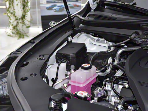 2026�� 300 ����������