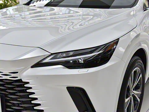 2026�� 300 ����������