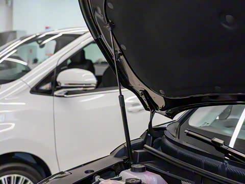 2025�� ���� �������������� ����