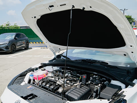 2026�� 180DVVT ȫ�����Ȱ�