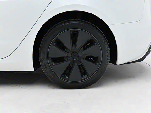 2025�� �Ŀ� ����������������