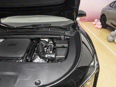 2026�� ���� 52 Max