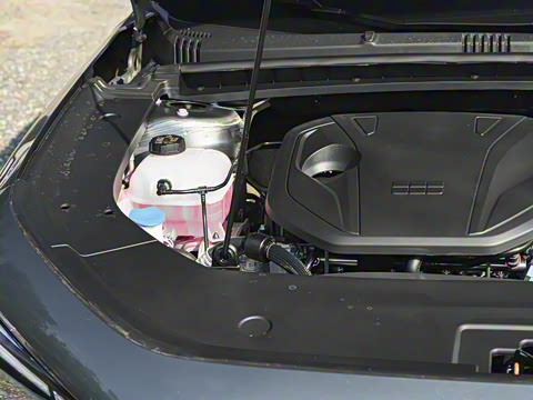 2026�� 60km̽����