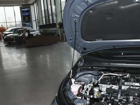 2026�� 1.8L ˫�� �ȷ��