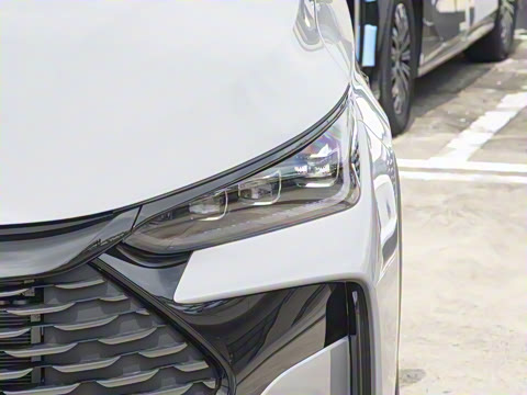 2025�� �Ǽݰ� DM-i 175KM �����