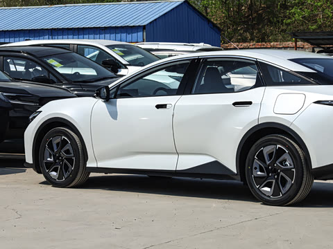 2026�� ������ JOY