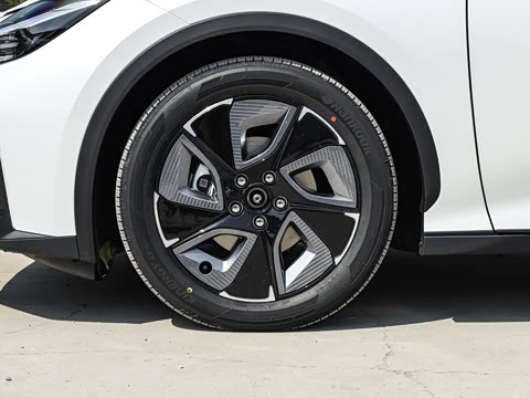 2026�� ������ JOY