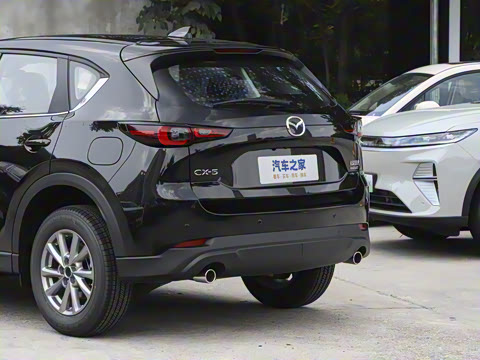 2025�� 2.0L �Զ�����������