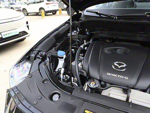 2025�� 2.0L �Զ�����������