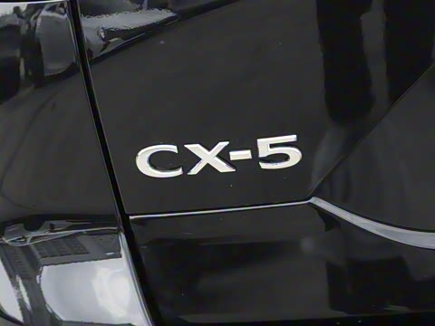 2025�� 2.0L �Զ�����������