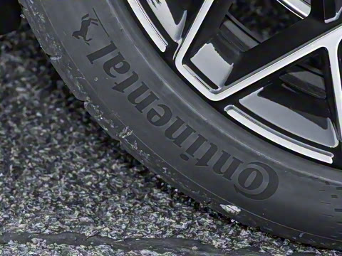 2026��   95������ Max��