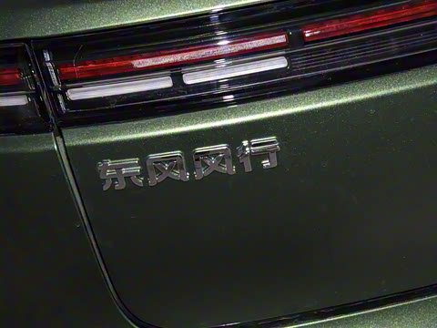 2025�� 555�Ǵ���