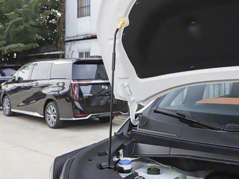 2026�� ��ʦ �����״��