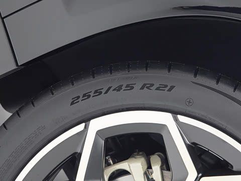 2026�� ����� ����