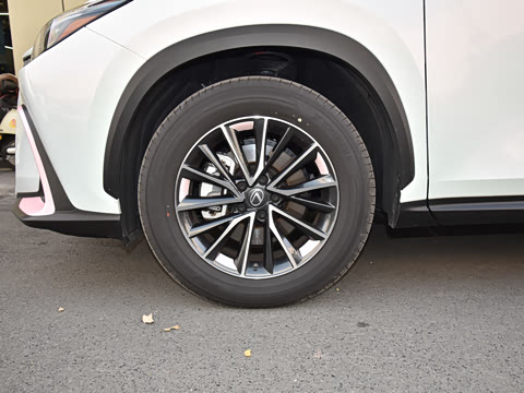 2026�� 200 ��ɫ�޶���