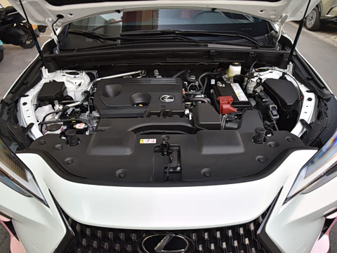 2026�� 200 ��ɫ�޶���