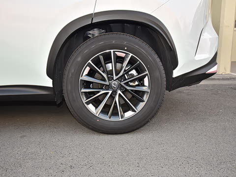 2026�� 200 ��ɫ�޶���