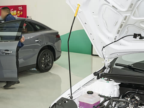 2026�� 530 �������а�