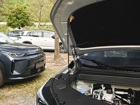 2026�� 650 ���װ�