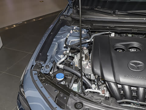 2025�� 2.0L �Զ����Ű�