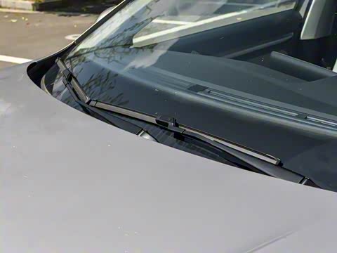 2025�� �Ŀ� 300TSI DSG���а�