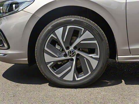 2025�� �Ŀ� 300TSI DSG���а�