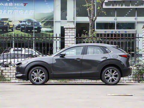 2025�� 2.0L �Զ�������