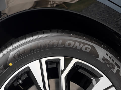 2026�� ���� 81kWh