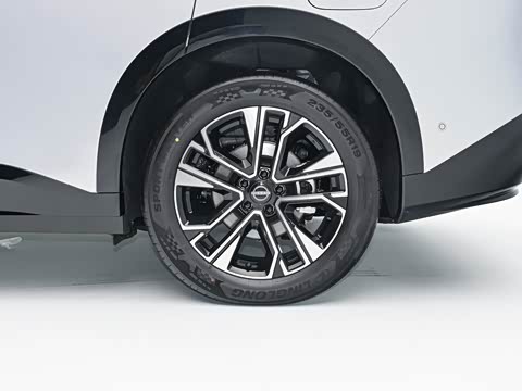 2026�� ���� 81kWh