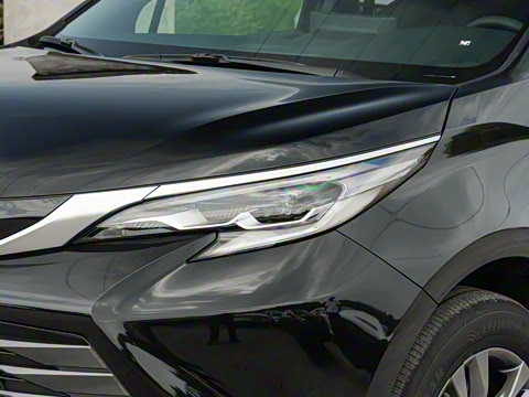 2026�� 2.5L ˫������������