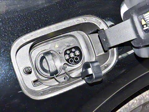 2026�� �����������̰� 310������