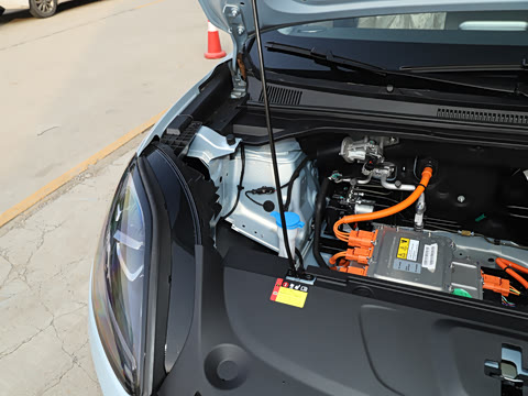 2025�� 325km ������