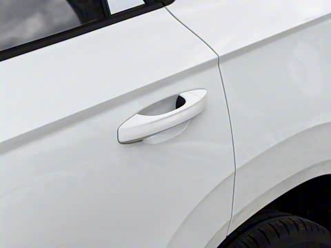 2026�� 280TSI �Զ��ȷ��