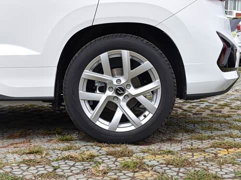 2026�� 280TSI �Զ��ȷ��