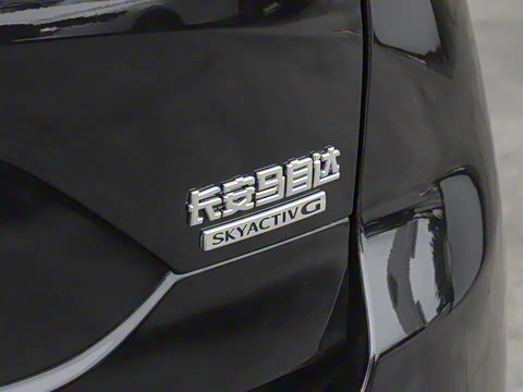 2025�� 2.0L �Զ���������Pro