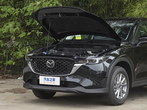 2025�� 2.0L �Զ���������Pro