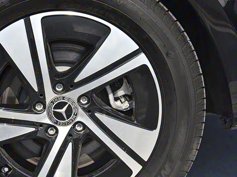 2025�� ������