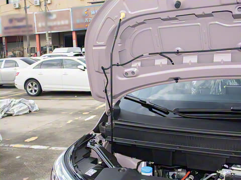 2025�� Plus 510 �Ǻ���