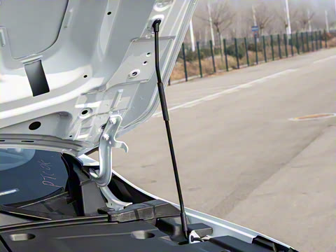 2026�� ��������