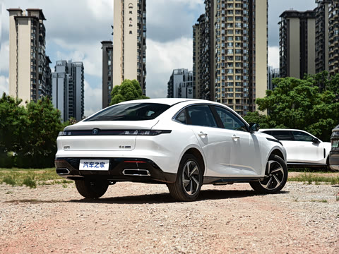 2026�� 1.5L �������� ������