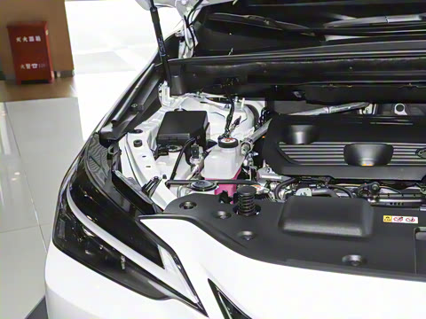 2025�� 350h JOY X