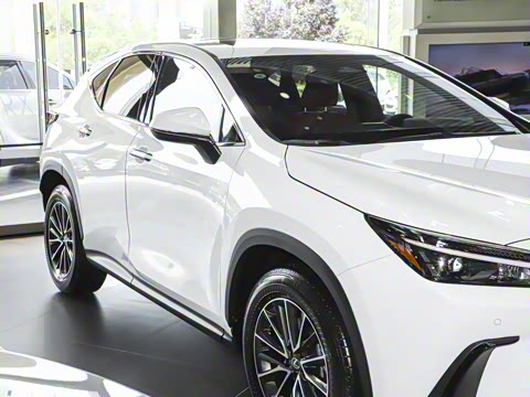 2025�� 350h JOY X