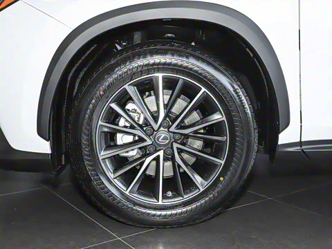 2025�� 350h JOY X