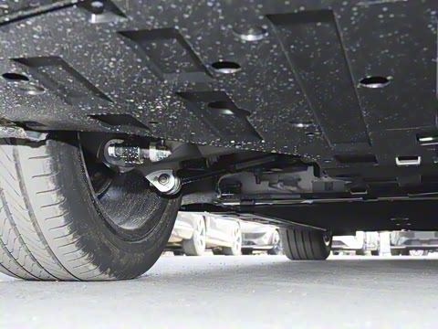 2025�� Elite�����