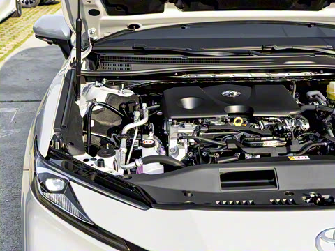 2026�� ˫�� 2.0HXS �˶�Plus��