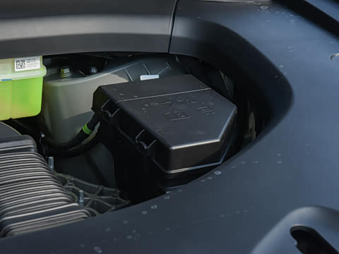 2026�� ���� Max������ 6��